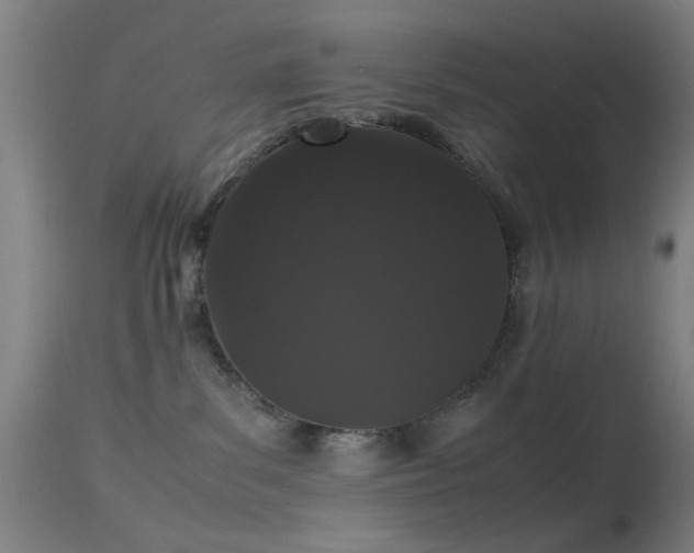 X0000113240139200909171611