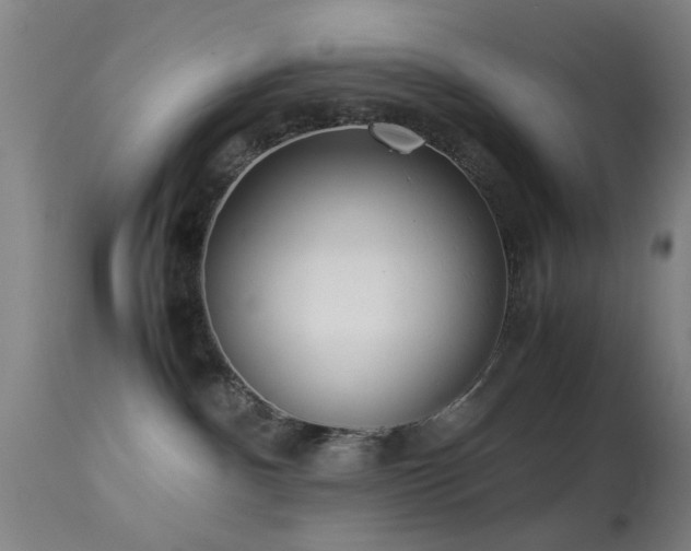 X0000113240140200909171611