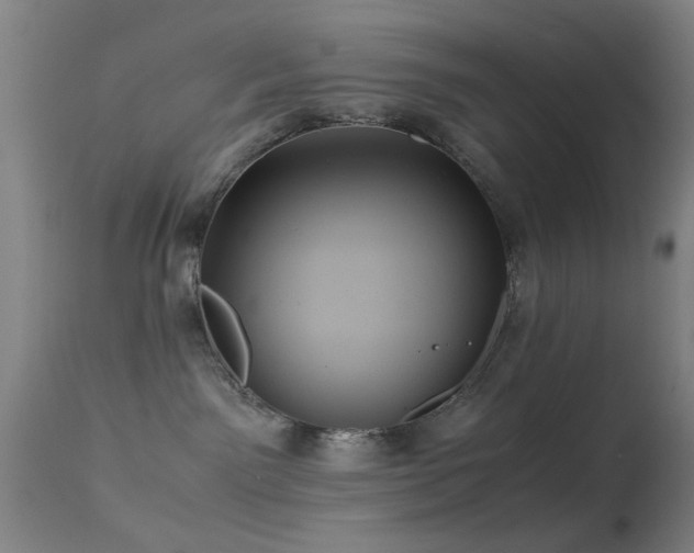 X0000113240141200909171611