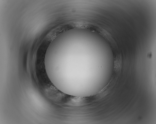 X0000113240142200909171611