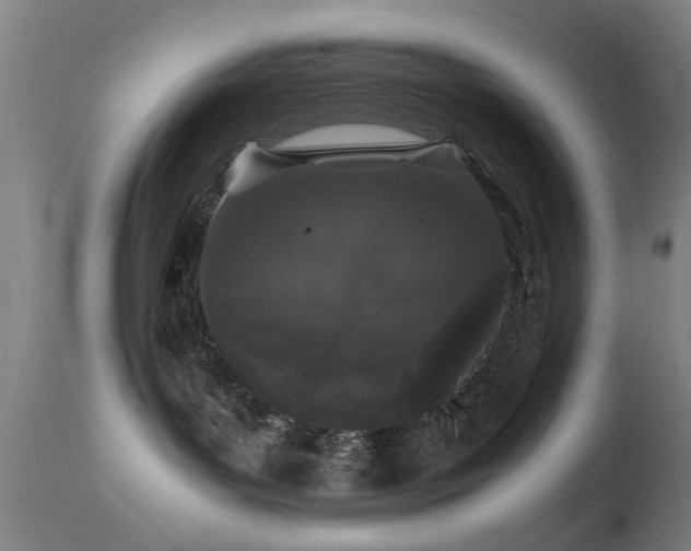 X0000113240143200909171611