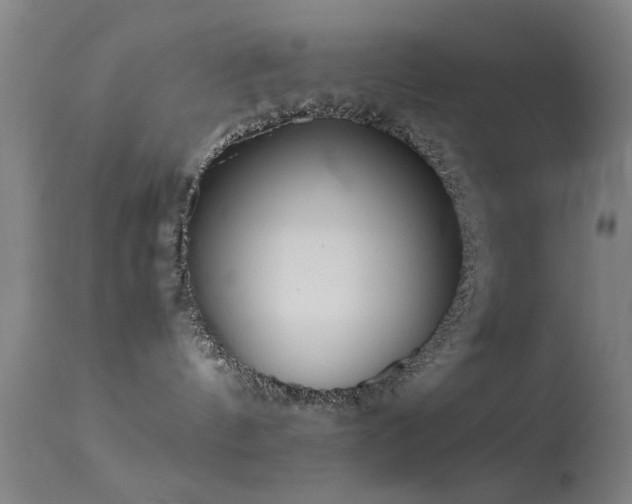 X0000113240144200909171611