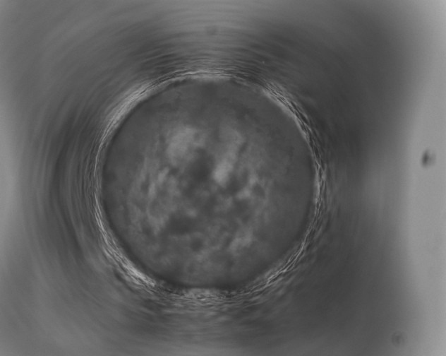 X0000113240145200909171611