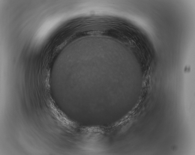 X0000113240146200909171611