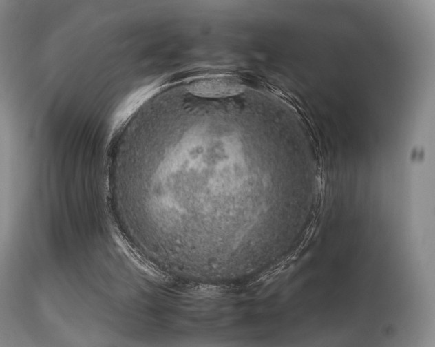 X0000113240149200909171611