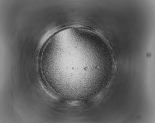 X0000113240151200909171611