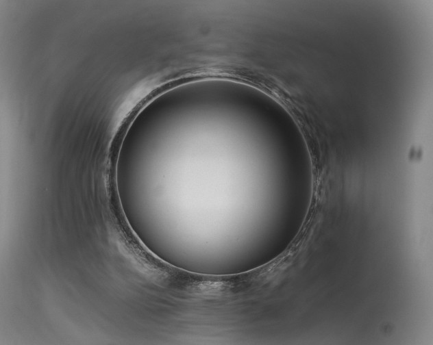 X0000113240152200909171611