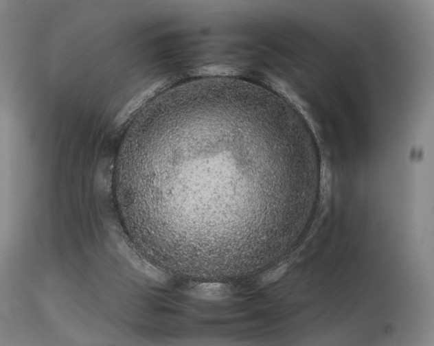 X0000113240153200909171611