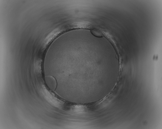 X0000113240154200909171611