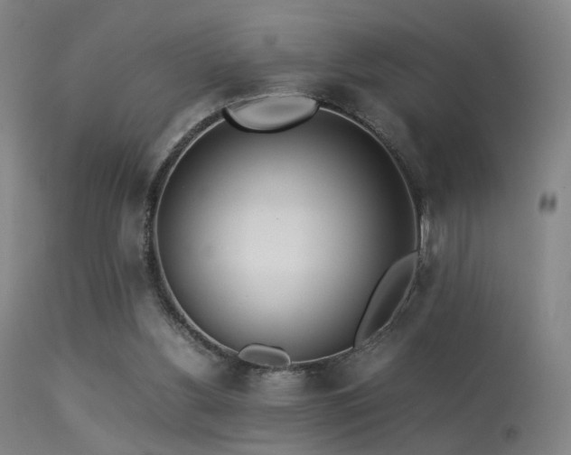 X0000113240156200909171611