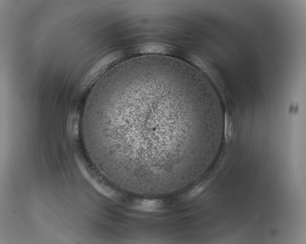 X0000113240157200909171611