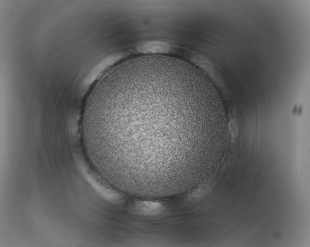 X0000113240159200909171611