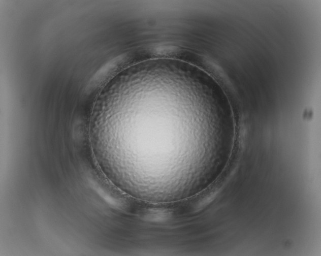 X0000113240161200909171611