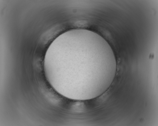 X0000113240162200909171611