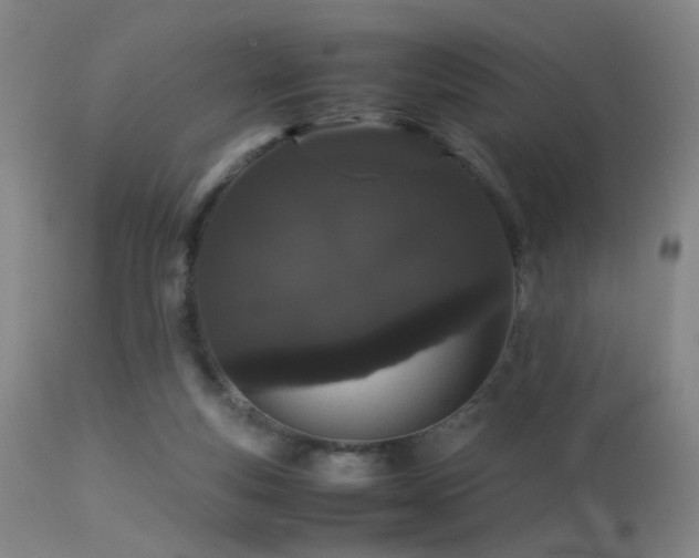 X0000113240163200909171611