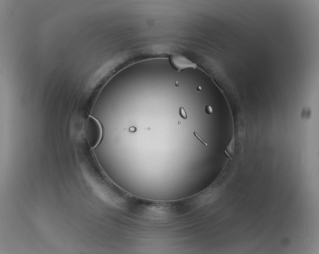 X0000113240164200909171611