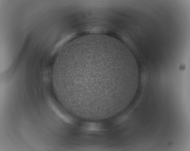 X0000113240165200909171611