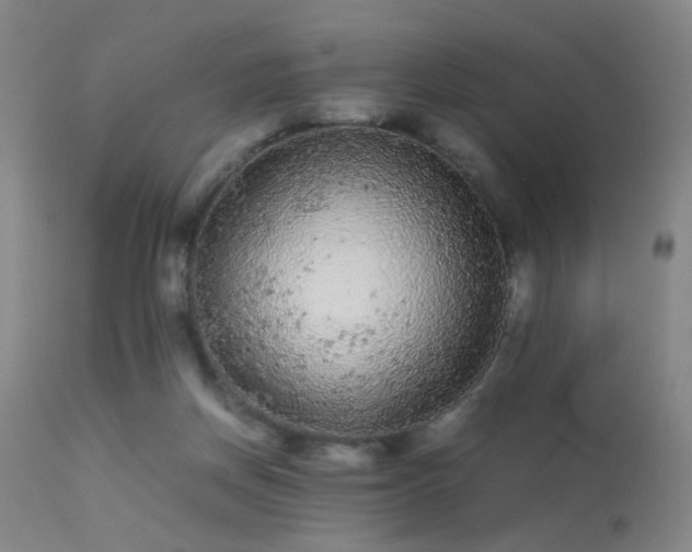 X0000113240166200909171611