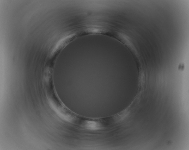 X0000113240167200909171611