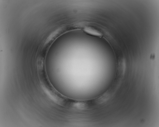 X0000113240168200909171611