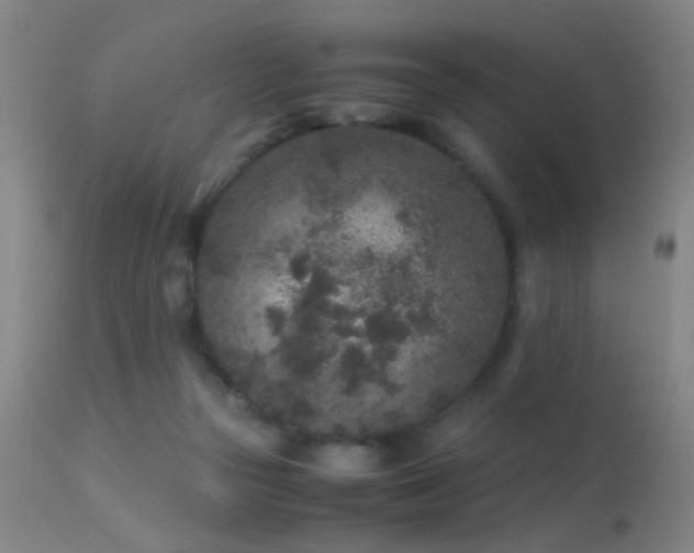 X0000113240169200909171611