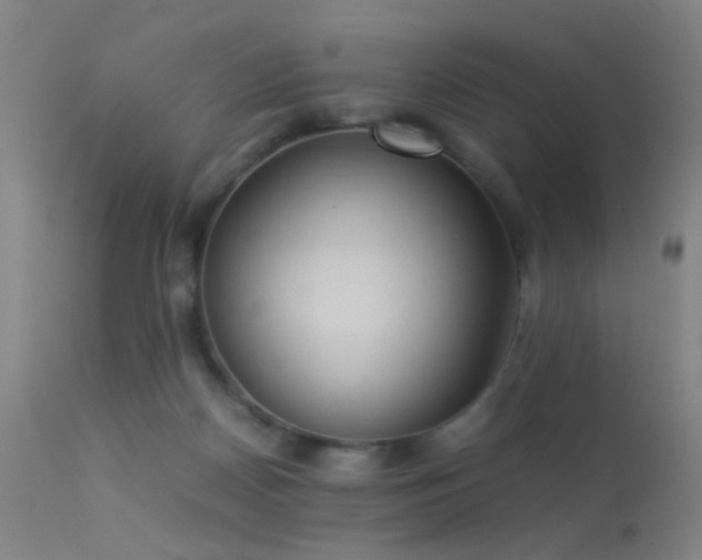 X0000113240170200909171611