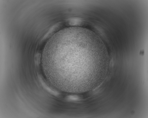 X0000113240171200909171611