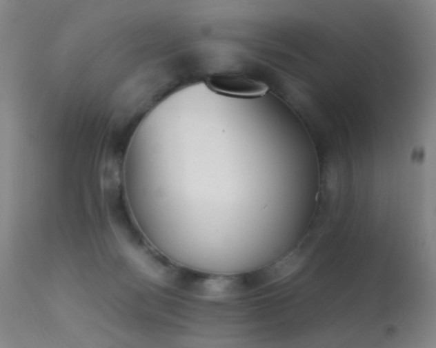 X0000113240172200909171611