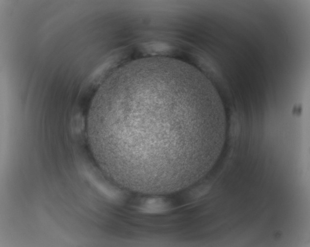 X0000113240173200909171611