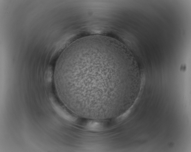 X0000113240174200909171611