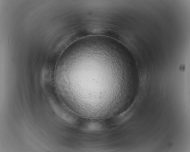 X0000113240175200909171611