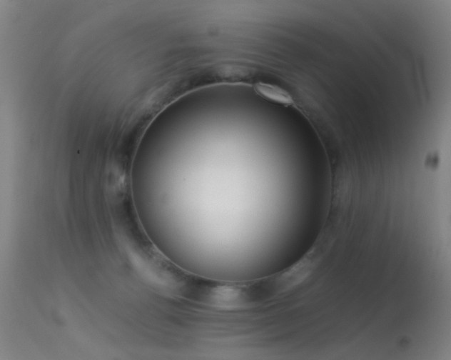 X0000113240176200909171611