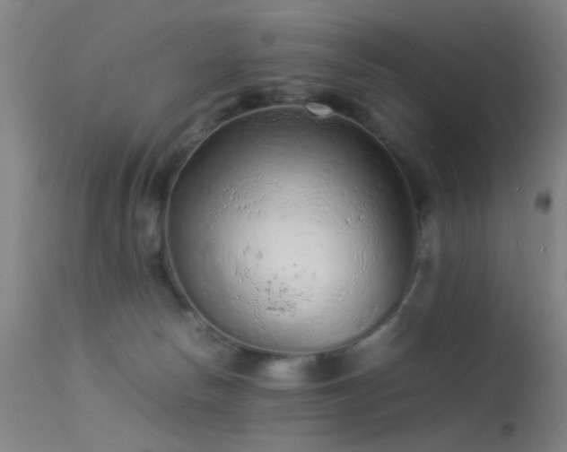 X0000113240178200909171611