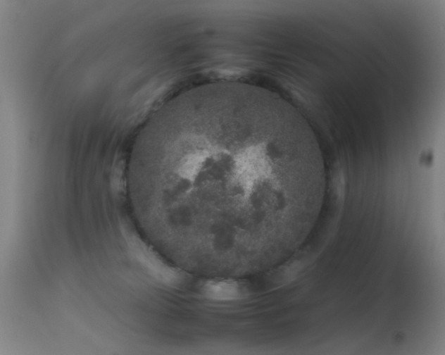 X0000113240181200909171611