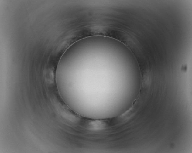 X0000113240183200909171611