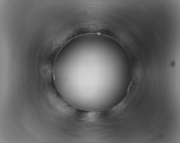 X0000113240184200909171611