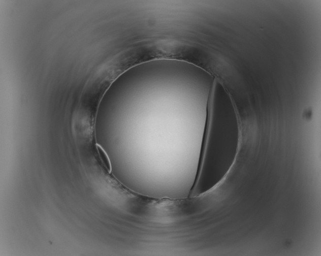 X0000113240186200909171611