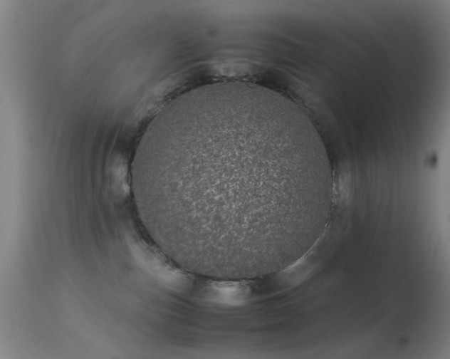 X0000113240187200909171611