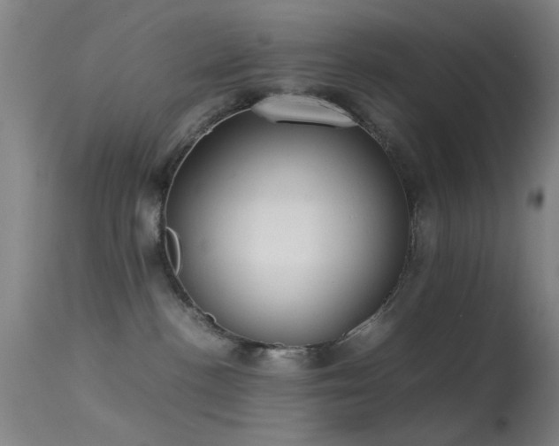 X0000113240188200909171611