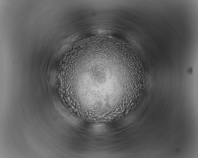 X0000113240189200909171611