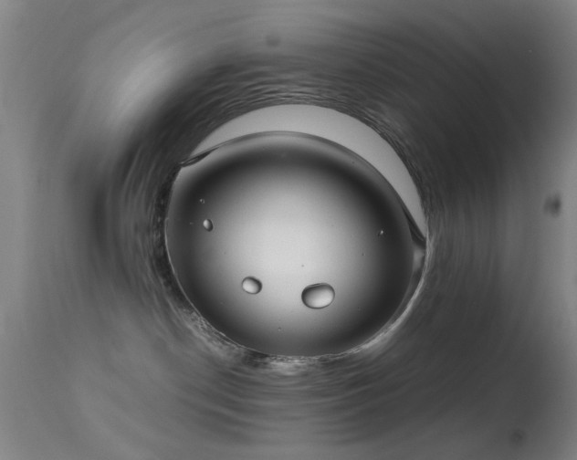 X0000113240190200909171611