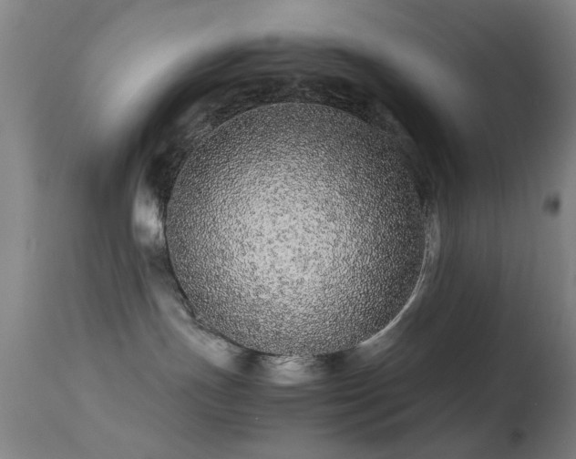 X0000113240191200909171611