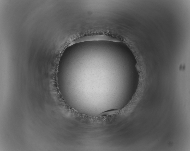 X0000113240192200909171611