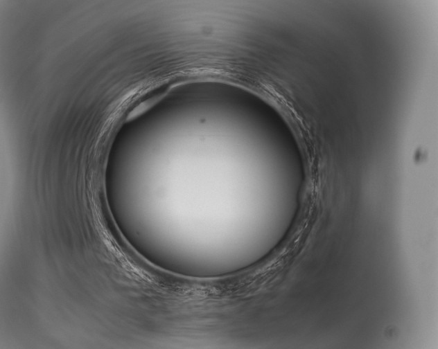 X0000113240193200909171611