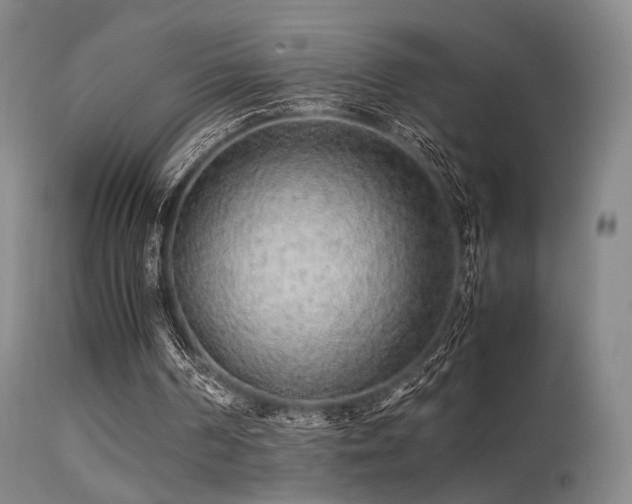 X0000113240194200909171611