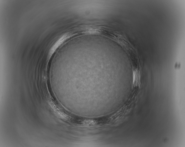 X0000113240195200909171611