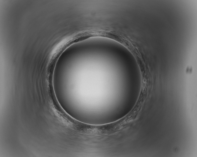 X0000113240197200909171611