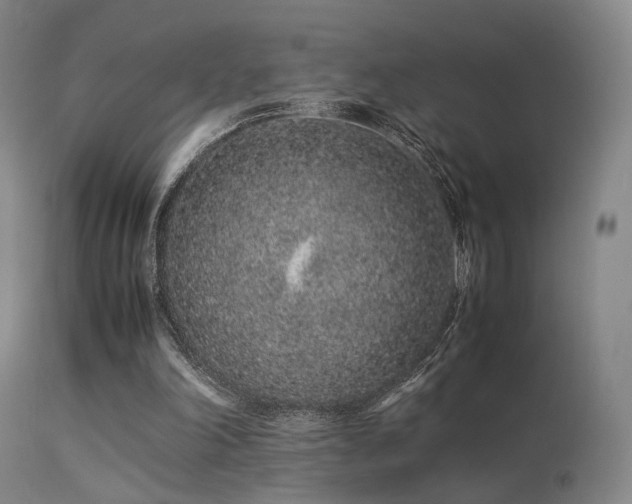 X0000113240198200909171611