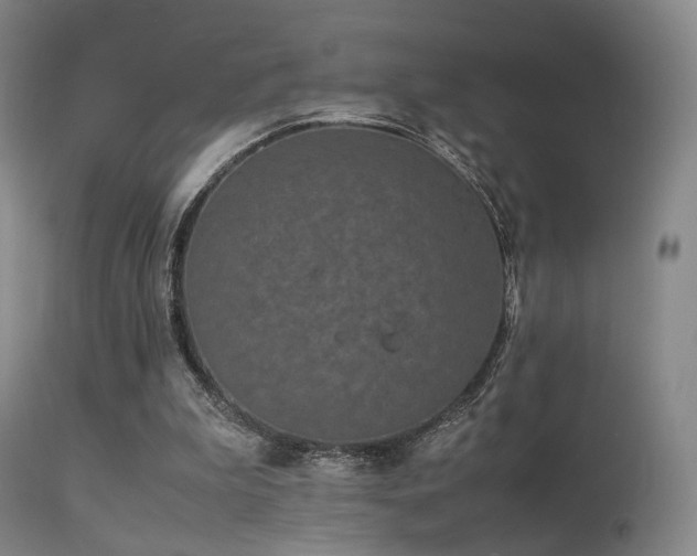 X0000113240199200909171611