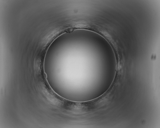 X0000113240201200909171610